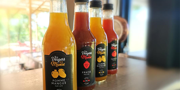 Pur jus de fruits des vergés de la Manse